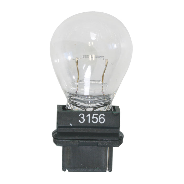 #3156 Miniature Replacement Light Bulbs - Clear